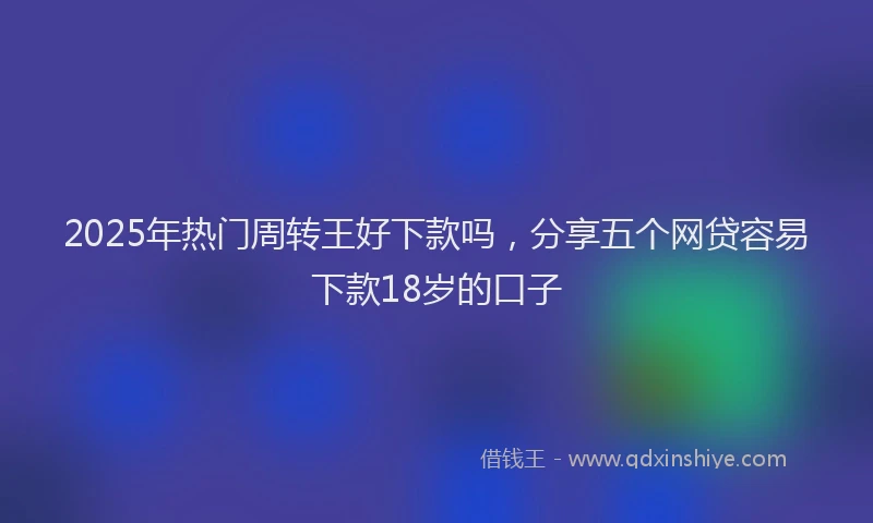 2025年热门周转王好下款吗，分享五个网贷容易下款18岁的口子