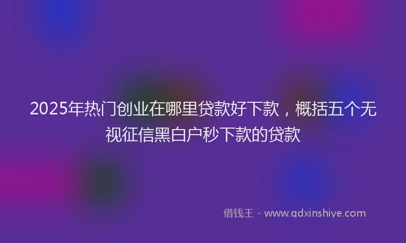 2025年热门创业在哪里贷款好下款，概括五个无视征信黑白户秒下款的贷款