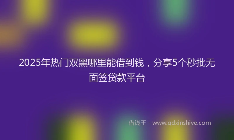 2025年热门双黑哪里能借到钱，分享5个秒批无面签贷款平台