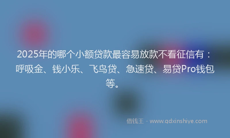 2025年的哪个小额贷款最容易放款不看征信有：呼吸金、钱小乐、飞鸟贷、急速贷、易贷Pro钱包等。