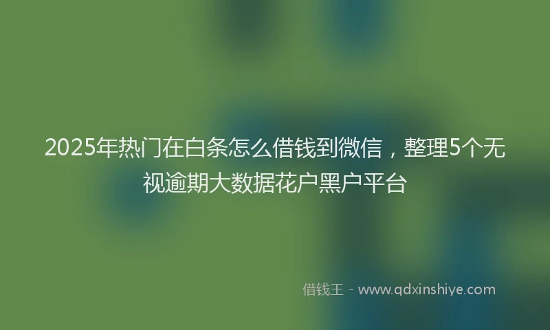 2025年热门在白条怎么借钱到微信，整理5个无视逾期大数据花户黑户平台