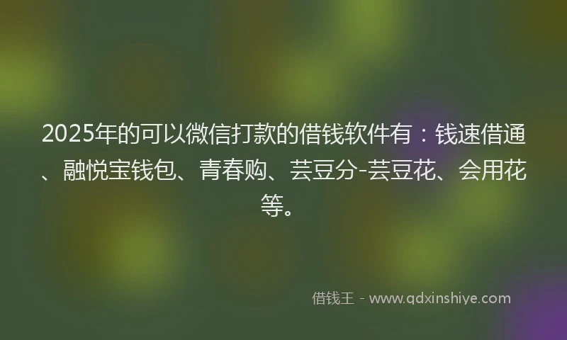 2025年的可以微信打款的借钱软件有：钱速借通、融悦宝钱包、青春购、芸豆分-芸豆花、会用花等。