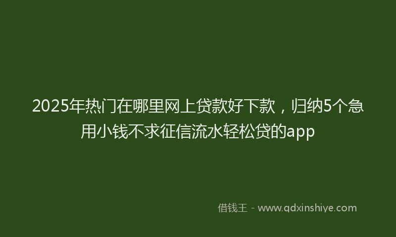 2025年热门在哪里网上贷款好下款，归纳5个急用小钱不求征信流水轻松贷的app