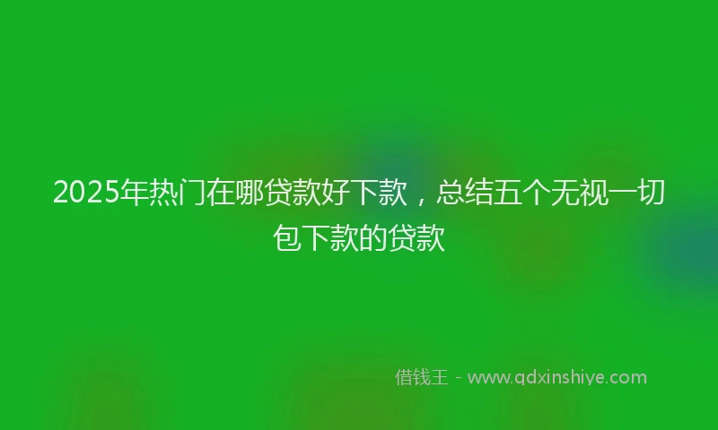 2025年热门在哪贷款好下款，总结五个无视一切包下款的贷款