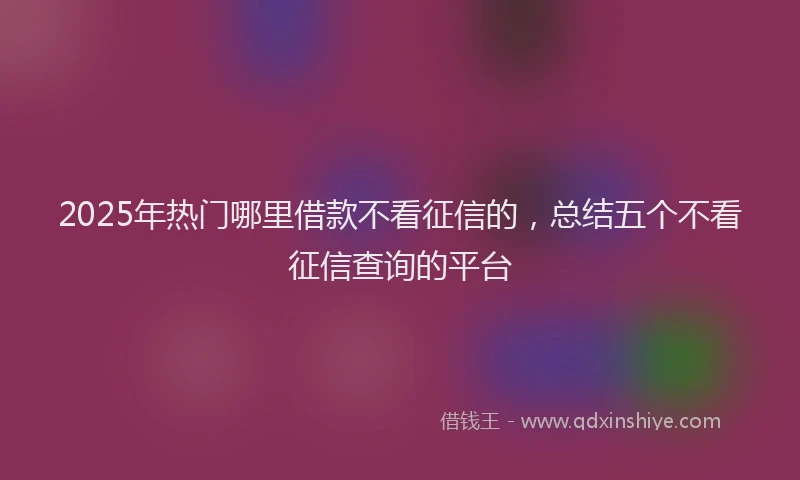 2025年热门哪里借款不看征信的，总结五个不看征信查询的平台