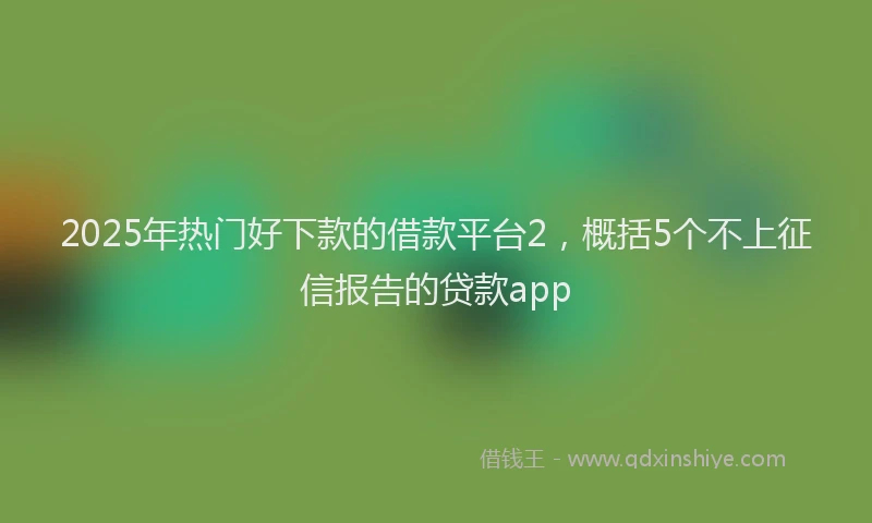 2025年热门好下款的借款平台2，概括5个不上征信报告的贷款app