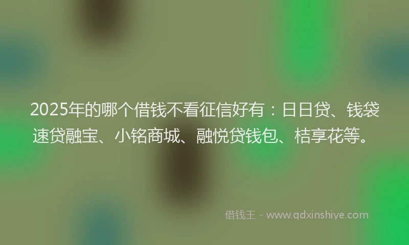 2025年的哪个借钱不看征信好有：日日贷、钱袋速贷融宝、小铭商城、融悦贷钱包、桔享花等。