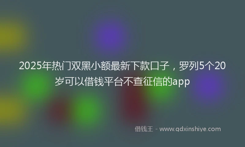 2025年热门双黑小额最新下款口子，罗列5个20岁可以借钱平台不查征信的app