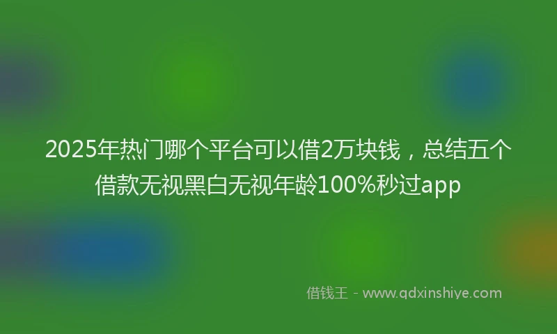 2025年热门哪个平台可以借2万块钱，总结五个借款无视黑白无视年龄100%秒过app