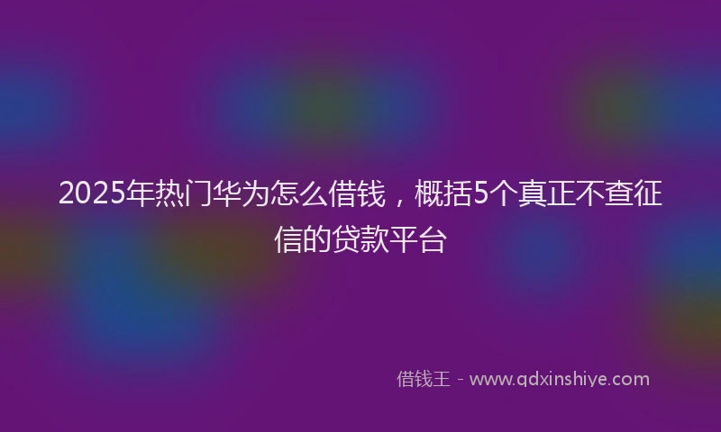 2025年热门华为怎么借钱，概括5个真正不查征信的贷款平台