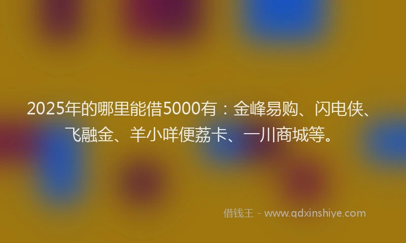 2025年的哪里能借5000有：金峰易购、闪电侠、飞融金、羊小咩便荔卡、一川商城等。