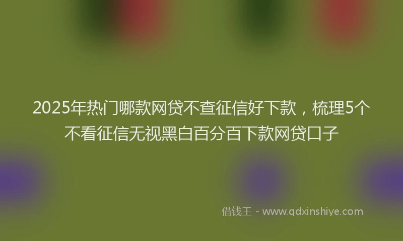 2025年热门哪款网贷不查征信好下款，梳理5个不看征信无视黑白百分百下款网贷口子