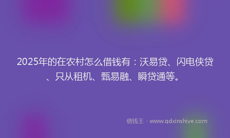 2025年的在农村怎么借钱有：沃易贷、闪电侠贷、只从租机、甄易融、瞬贷通等。