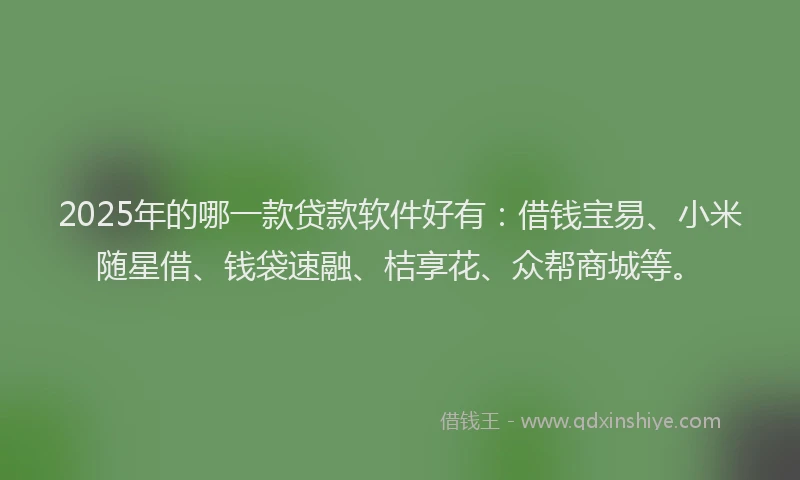 2025年的哪一款贷款软件好有：借钱宝易、小米随星借、钱袋速融、桔享花、众帮商城等。