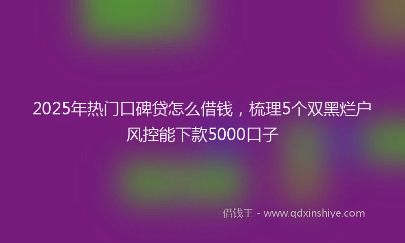 2025年热门口碑贷怎么借钱，梳理5个双黑烂户风控能下款5000口子