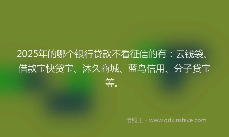 2025年的哪个银行贷款不看征信的有：云钱袋、借款宝快贷宝、沐久商城、蓝鸟信用、分子贷宝等。