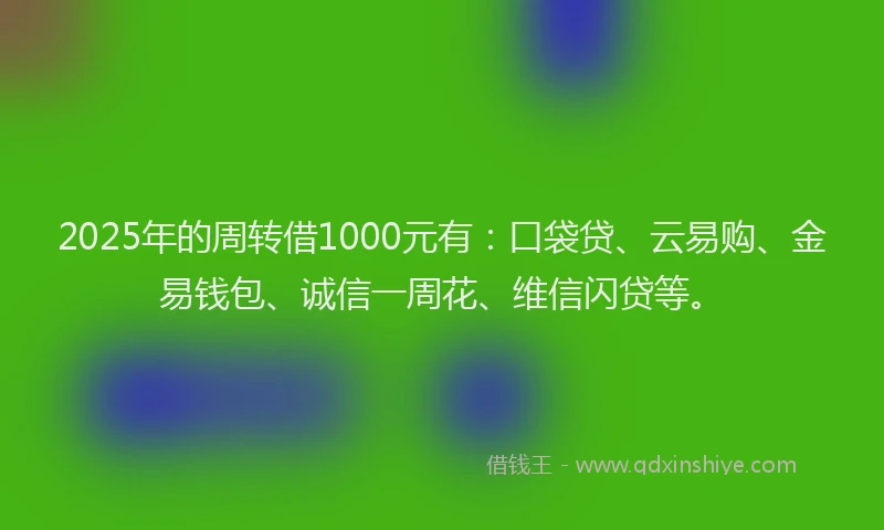 2025年的周转借1000元有：口袋贷、云易购、金易钱包、诚信一周花、维信闪贷等。