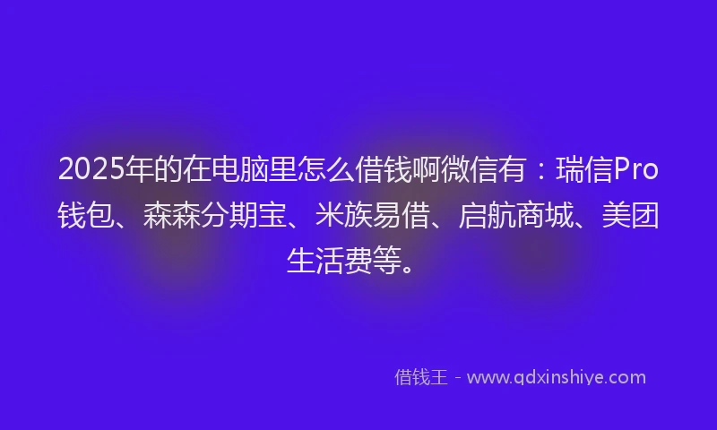2025年的在电脑里怎么借钱啊微信有：瑞信Pro钱包、森森分期宝、米族易借、启航商城、美团生活费等。