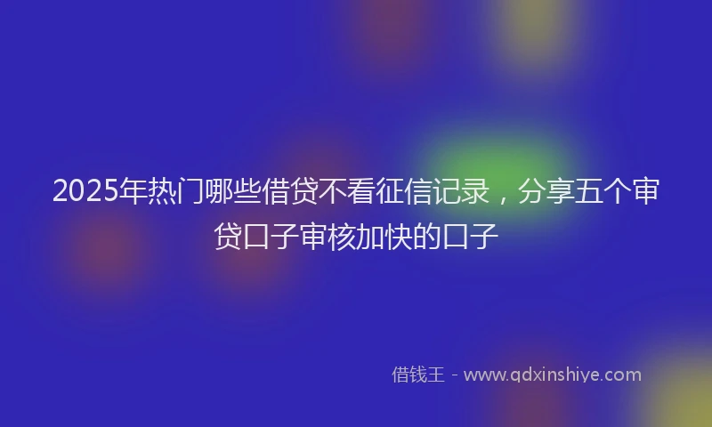 2025年热门哪些借贷不看征信记录，分享五个审贷口子审核加快的口子