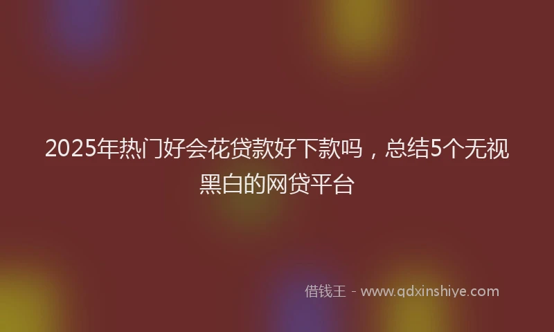 2025年热门好会花贷款好下款吗，总结5个无视黑白的网贷平台