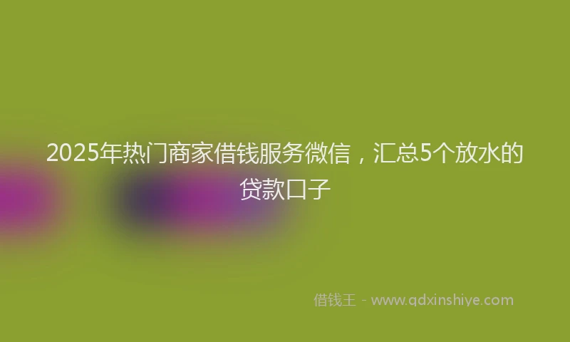 2025年热门商家借钱服务微信，汇总5个放水的贷款口子