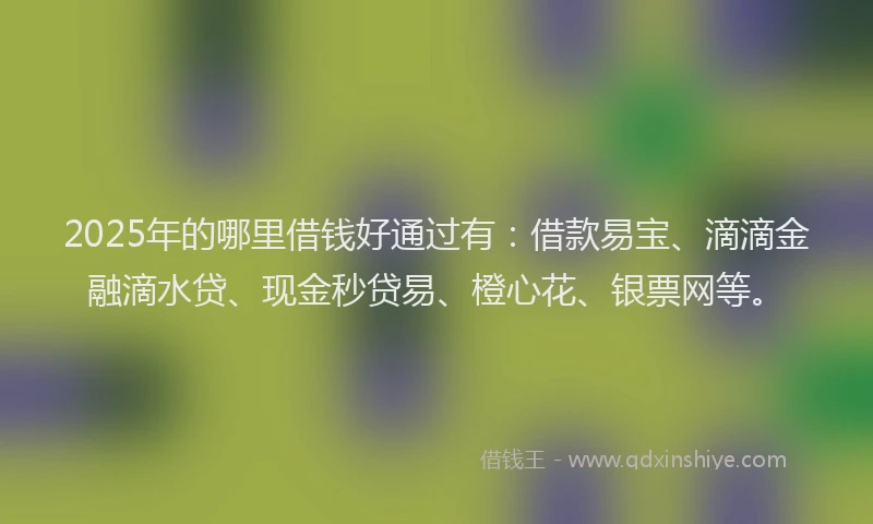 2025年的哪里借钱好通过有：借款易宝、滴滴金融滴水贷、现金秒贷易、橙心花、银票网等。