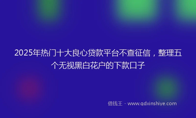 2025年热门十大良心贷款平台不查征信，整理五个无视黑白花户的下款口子