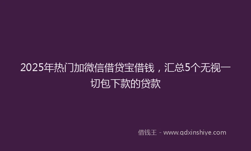 2025年热门加微信借贷宝借钱，汇总5个无视一切包下款的贷款