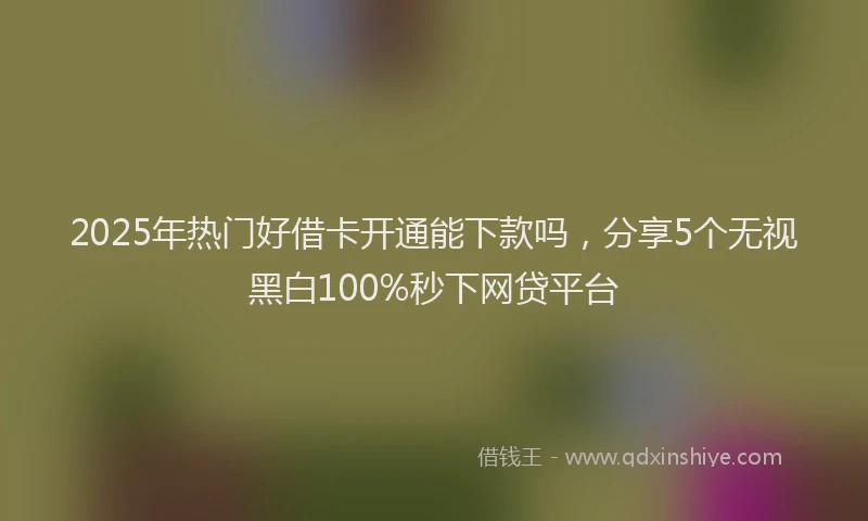 2025年热门好借卡开通能下款吗，分享5个无视黑白100%秒下网贷平台