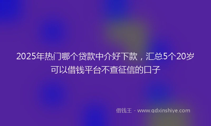2025年热门哪个贷款中介好下款，汇总5个20岁可以借钱平台不查征信的口子