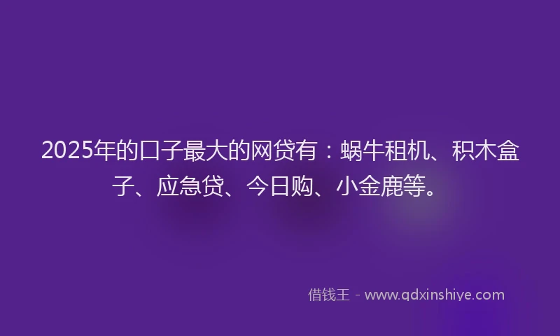 2025年的口子最大的网贷有：蜗牛租机、积木盒子、应急贷、今日购、小金鹿等。