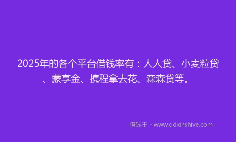2025年的各个平台借钱率有：人人贷、小麦粒贷、蒙享金、携程拿去花、森森贷等。