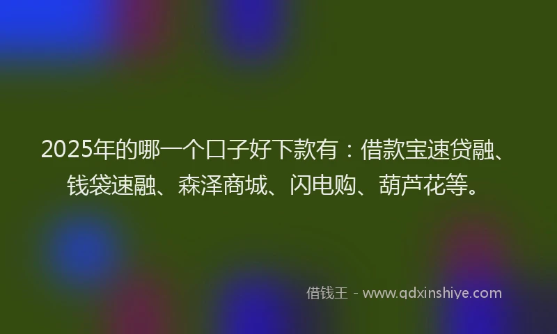 2025年的哪一个口子好下款有：借款宝速贷融、钱袋速融、森泽商城、闪电购、葫芦花等。