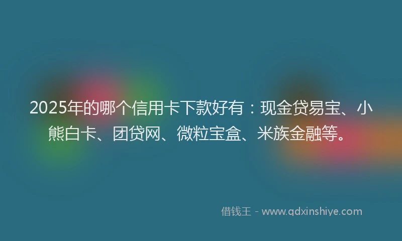 2025年的哪个信用卡下款好有：现金贷易宝、小熊白卡、团贷网、微粒宝盒、米族金融等。