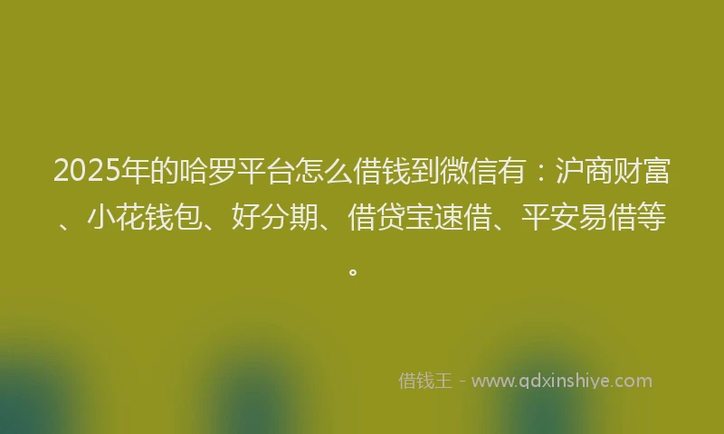 2025年的哈罗平台怎么借钱到微信有：沪商财富、小花钱包、好分期、借贷宝速借、平安易借等。