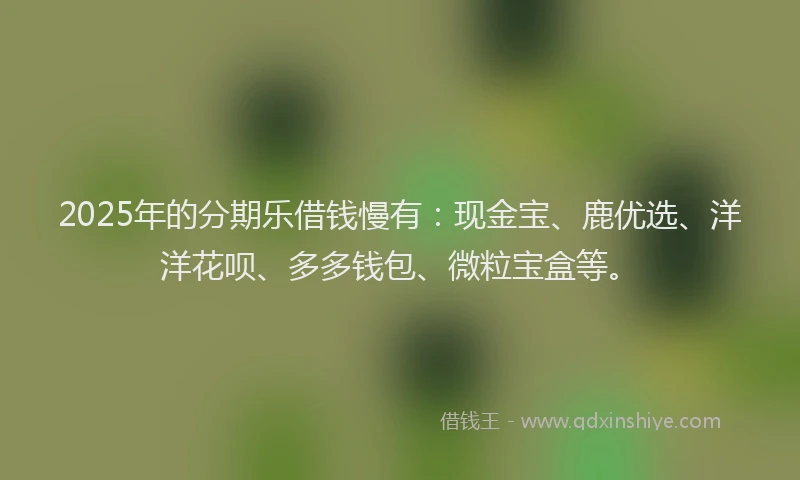 2025年的分期乐借钱慢有：现金宝、鹿优选、洋洋花呗、多多钱包、微粒宝盒等。