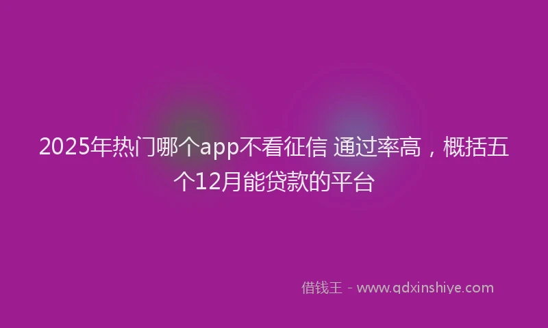 2025年热门哪个app不看征信 通过率高，概括五个12月能贷款的平台