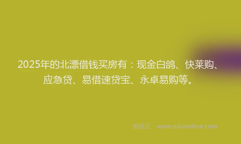 2025年的北漂借钱买房有：现金白鸽、快莱购、应急贷、易借速贷宝、永卓易购等。
