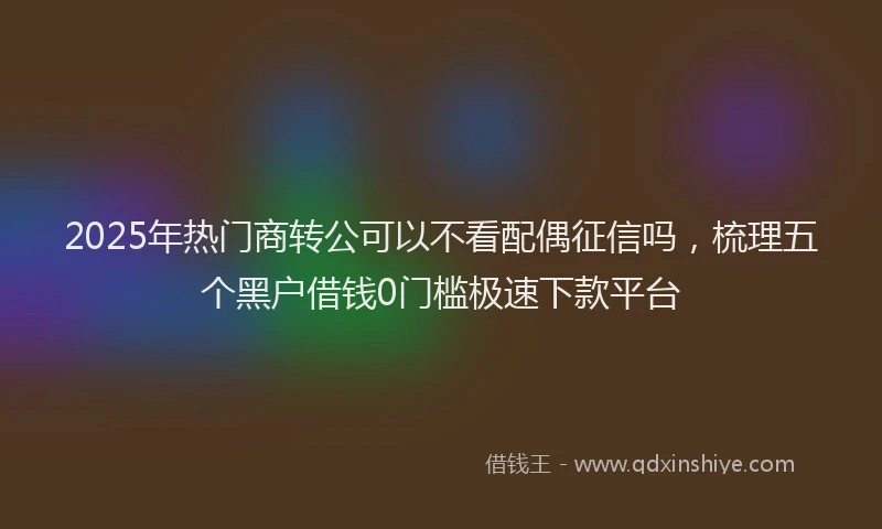 2025年热门商转公可以不看配偶征信吗，梳理五个黑户借钱0门槛极速下款平台