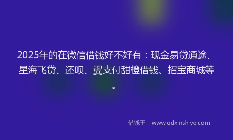 2025年的在微信借钱好不好有：现金易贷通途、星海飞贷、还呗、翼支付甜橙借钱、招宝商城等。