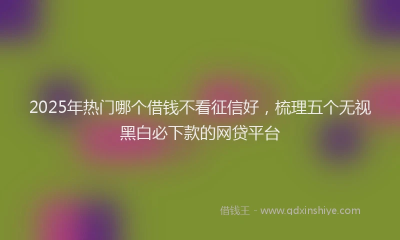 2025年热门哪个借钱不看征信好，梳理五个无视黑白必下款的网贷平台