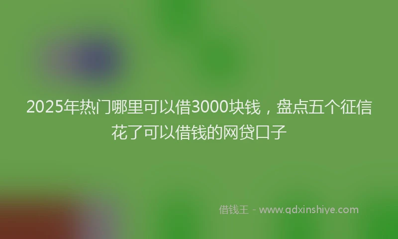 2025年热门哪里可以借3000块钱，盘点五个征信花了可以借钱的网贷口子