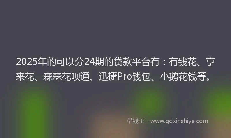 2025年的可以分24期的贷款平台有：有钱花、享来花、森森花呗通、迅捷Pro钱包、小鹅花钱等。