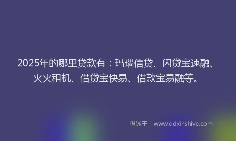 2025年的哪里贷款有：玛瑙信贷、闪贷宝速融、火火租机、借贷宝快易、借款宝易融等。