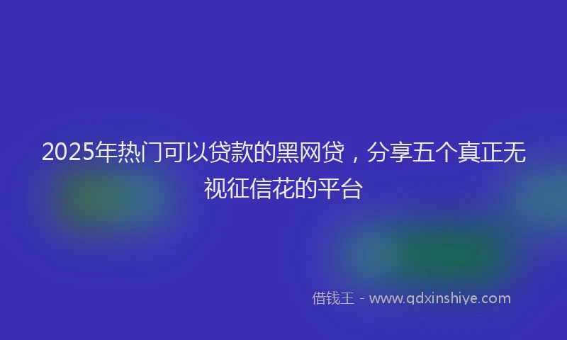 2025年热门可以贷款的黑网贷，分享五个真正无视征信花的平台