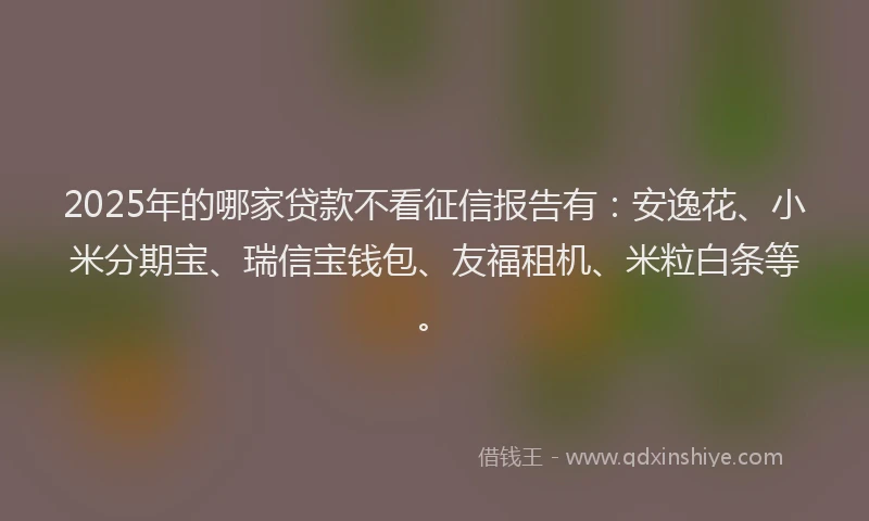 2025年的哪家贷款不看征信报告有：安逸花、小米分期宝、瑞信宝钱包、友福租机、米粒白条等。