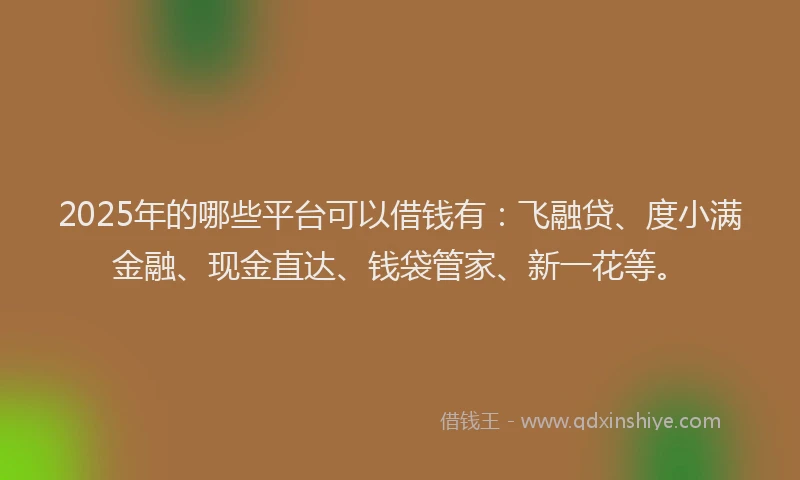 2025年的哪些平台可以借钱有：飞融贷、度小满金融、现金直达、钱袋管家、新一花等。