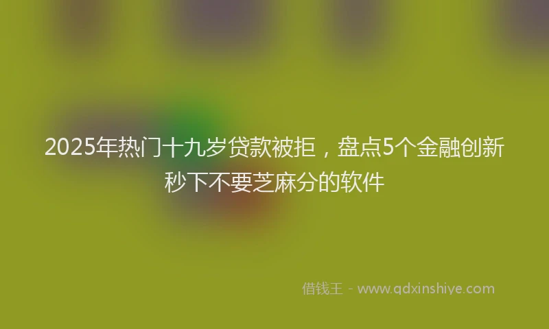 2025年热门十九岁贷款被拒，盘点5个金融创新秒下不要芝麻分的软件