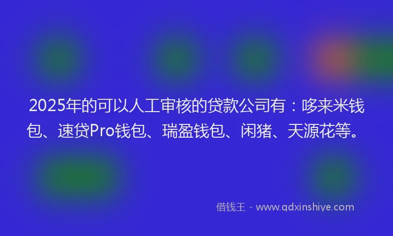 2025年的可以人工审核的贷款公司有：哆来米钱包、速贷Pro钱包、瑞盈钱包、闲猪、天源花等。