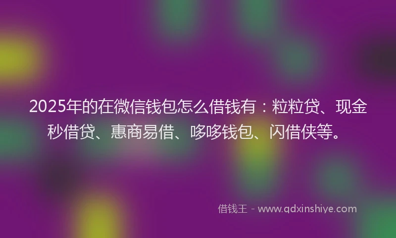 2025年的在微信钱包怎么借钱有：粒粒贷、现金秒借贷、惠商易借、哆哆钱包、闪借侠等。